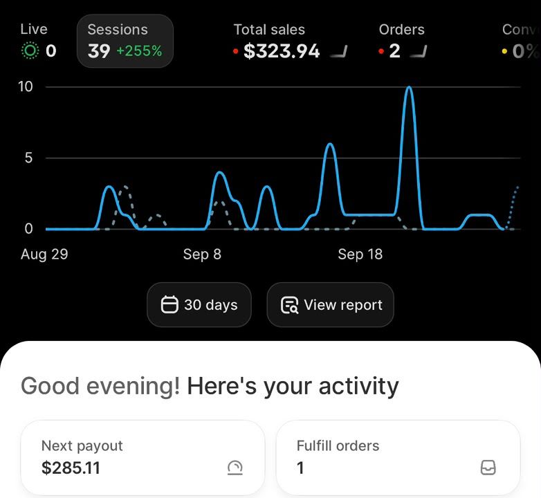 Shopify dashboard screenshot: First sales for a brand-new store we launched