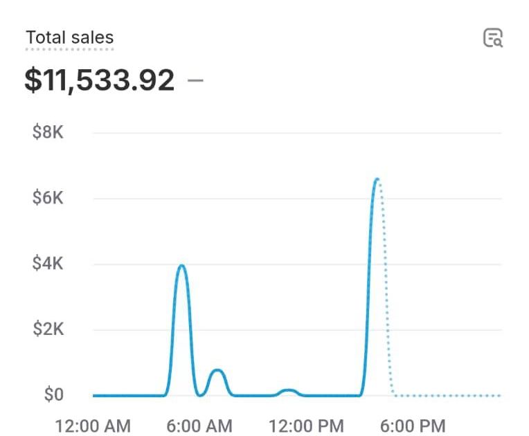 Shopify dashboard screenshot: $11,533 in sales in a single day