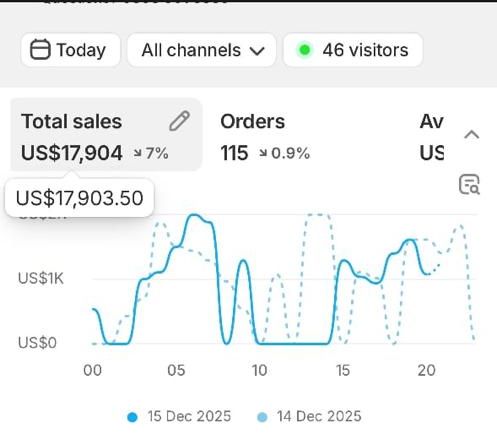Shopify dashboard screenshot: US$17,904 in one day · 115 orders
